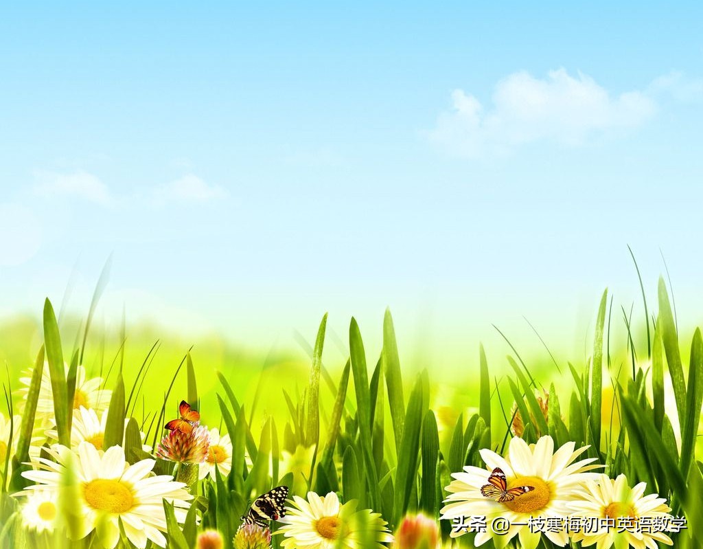 冠词的用法详解（附真题练习及答案解析）！