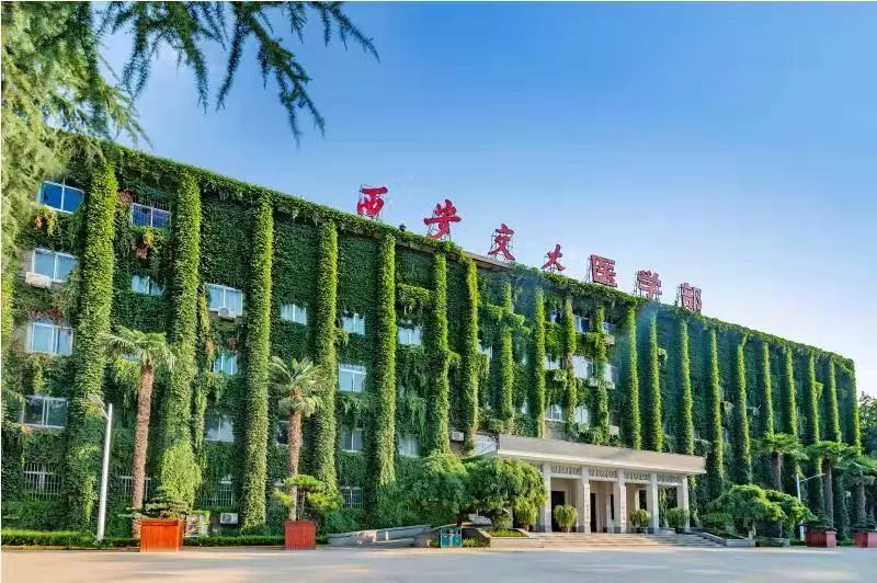 等你在交大！西安交通大学2020年博士研究生章程公布！