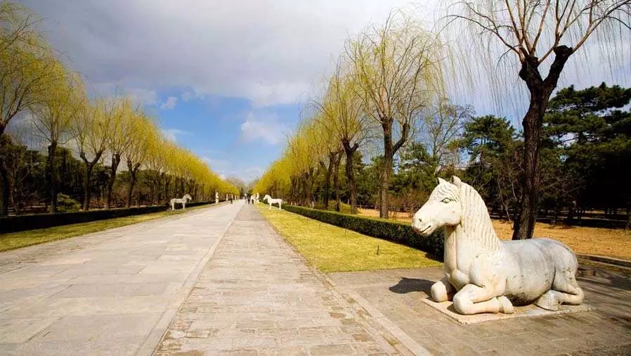 北京市明十三陵景区都开放了哪些陵墓供游客参观？