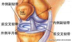 nba有哪些球员韧带撕裂过(nba某球星左膝十字韧带撕裂，运动中要学会保护自己)