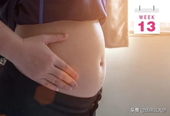 1至40周胎儿发育过程图