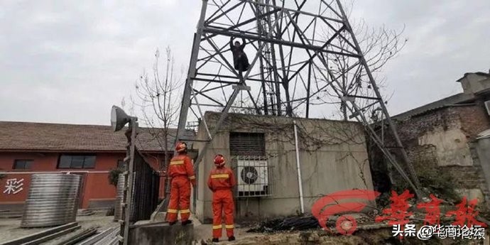 每日最陕西｜西安华清园实验小学某教师数次掌掴学生 多名家长称自己的孩子也被打过 教育局正调查