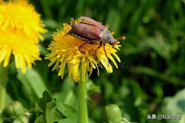 过往不恋，未来不迎，当下不负，如此安好