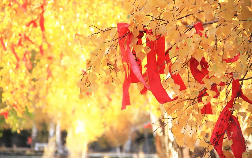 转发：13首平安诗词，祝您健康平安