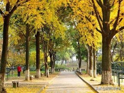 报录比11|苏州大学