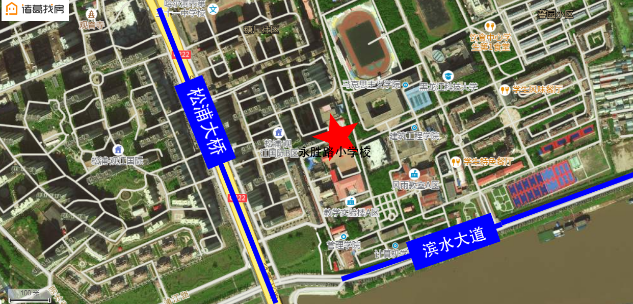 来了！松北区公办小学学区范围出炉！这里的学区房价格是这样的