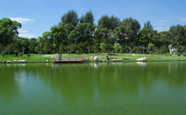 在“商”言“伤”，哈尔滨商业大学—原商业部属商学院沉浮