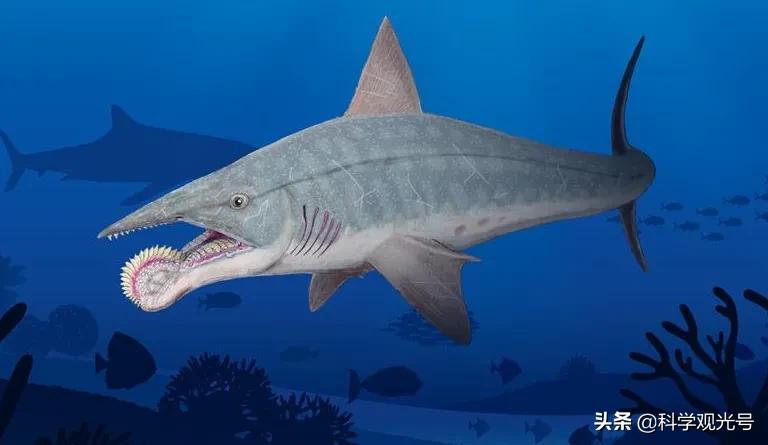 远古海洋最深处,都曾存在过哪些可怕的生物?谁才是最终的王者