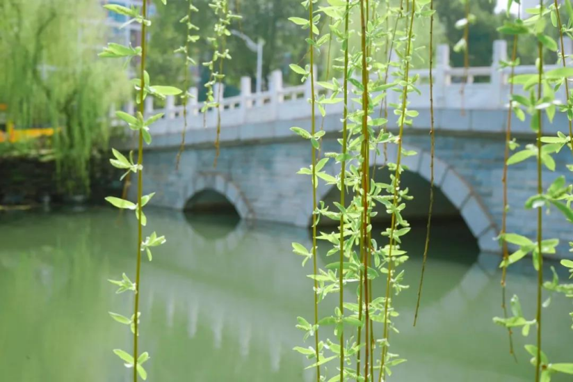 211名校实力如何？在重量级榜单中蝉联第一，走出110位富豪企业家！