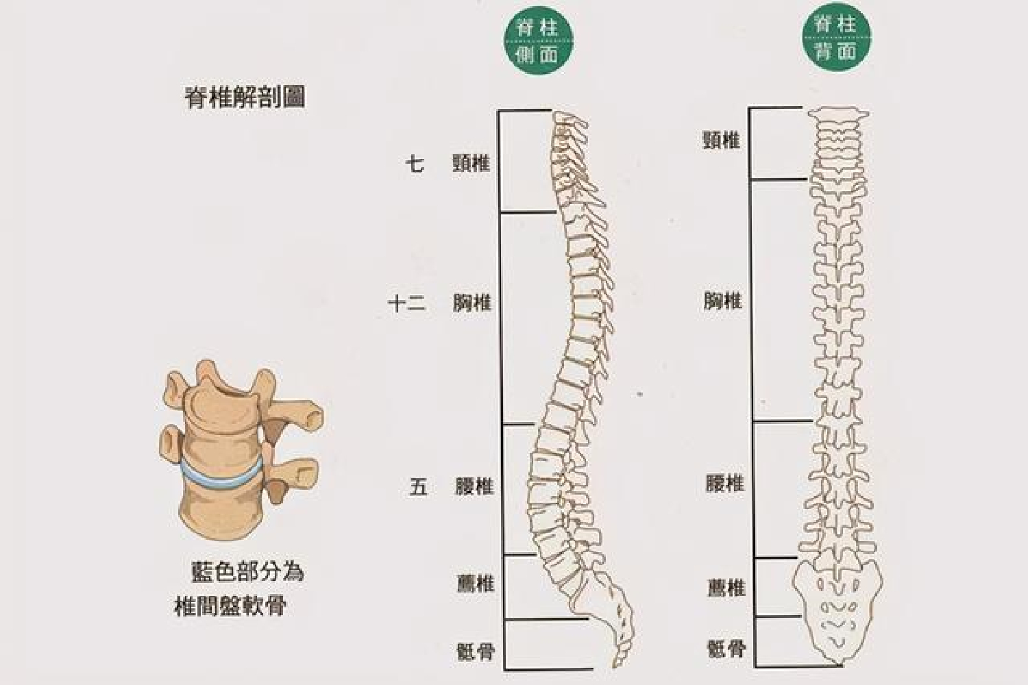 宝宝多大可以用枕头？看具体表示才贴合成长规律，妈妈少走弯路