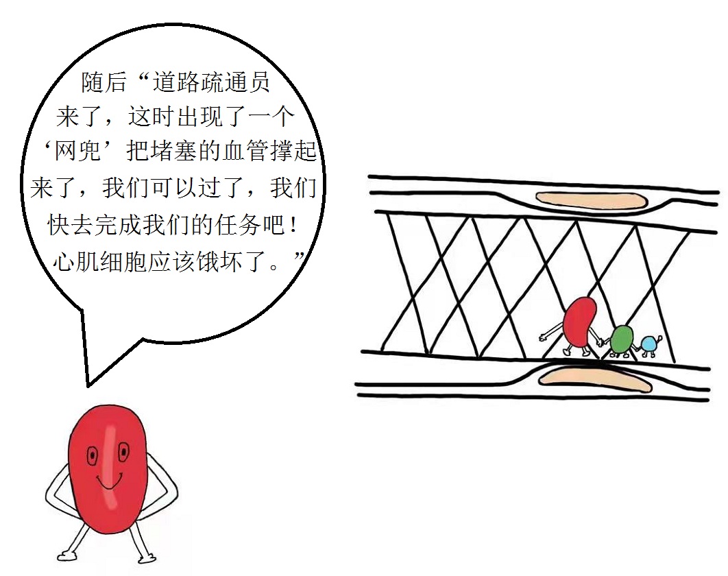 微观视角带您走进“心世界”——来自红细胞的自述