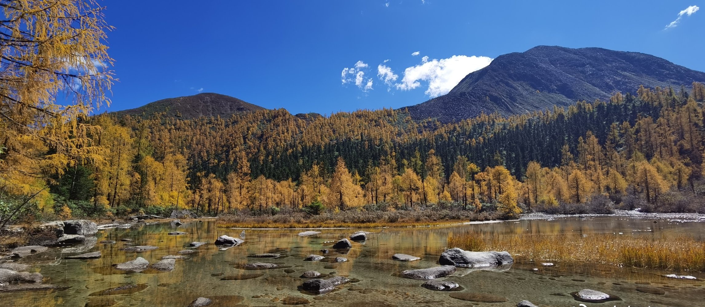 成都周末游川西:巴朗山,甘海子