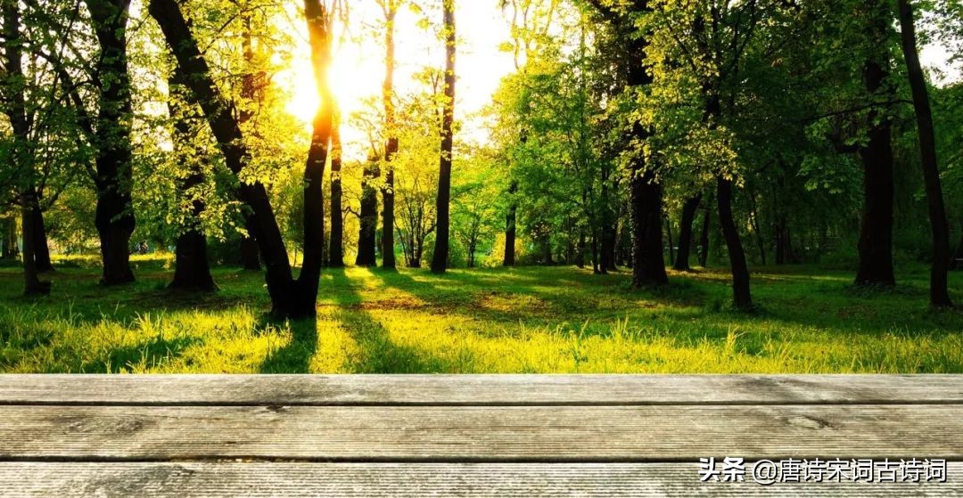 十首诗词，暮年生活，依旧美好