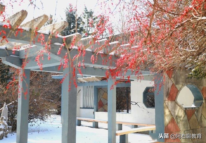 “石油化工”高校知多少？数一数，仅剩下这几所！