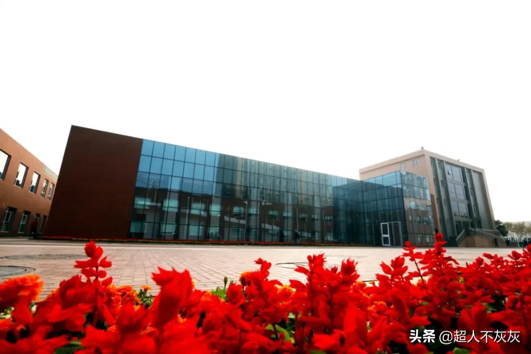 一句话点评石家庄所有私立名校 | 主城五区