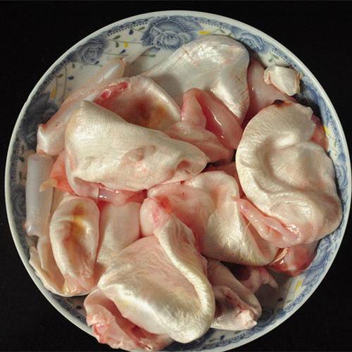 美食鱼肚是什么（它真的是鱼胶吗教你做鱼肚最好吃的做法）