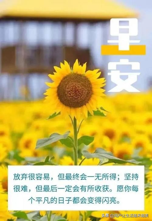 早安心语，每日励志正能量