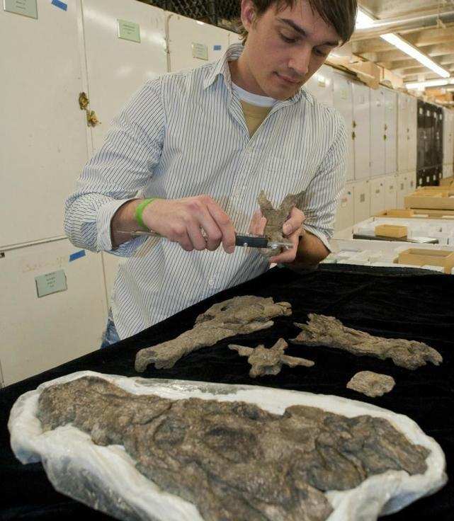 5600万年前，重达1吨的大蛇成食物链的顶端，形成原因或再次出现