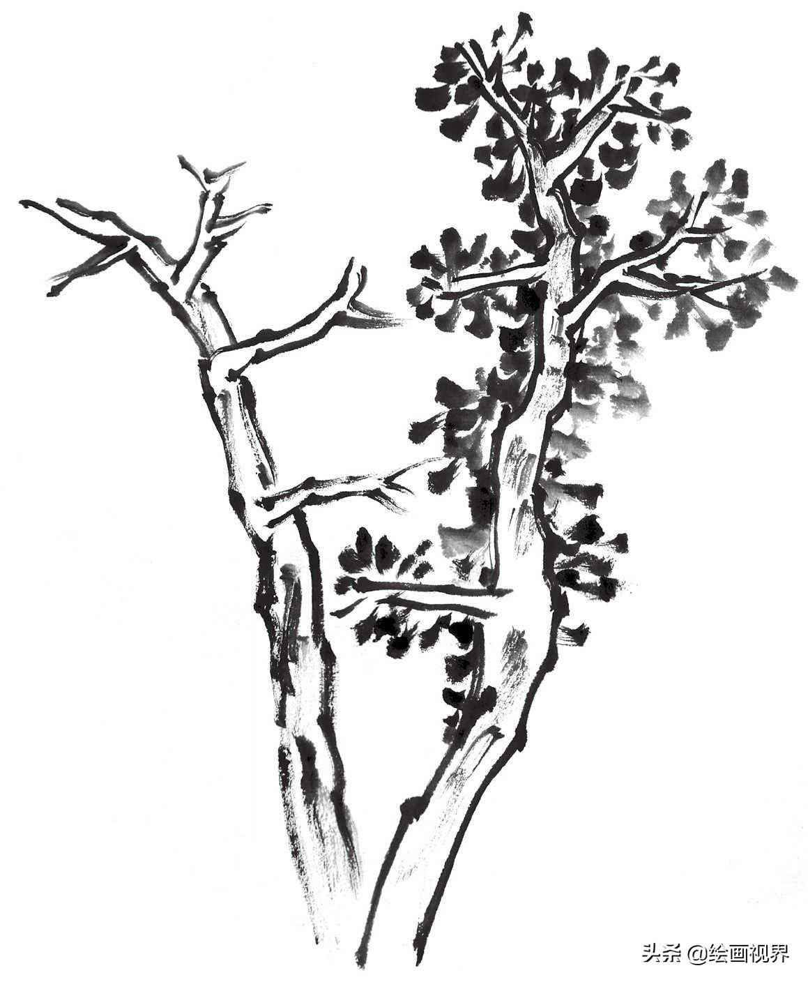 画国画树不会画？教你常见树的画法，简单易学，收藏起来临摹学习