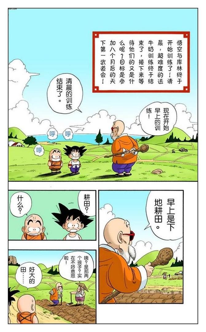 孙悟空修行篇 第31话 龟仙流的严格修行