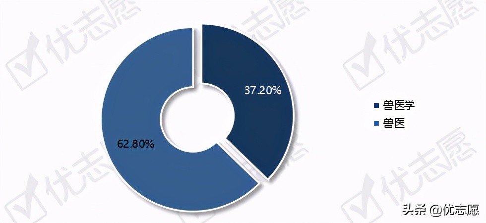 动物医学专业招生、升学、就业分析