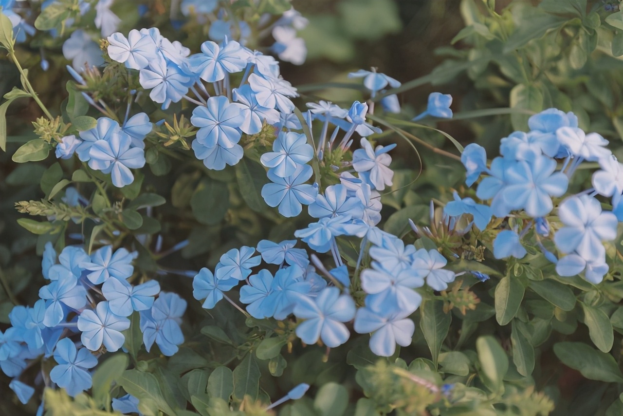 利用平台新人优惠“薅羊毛”不构成财产犯罪