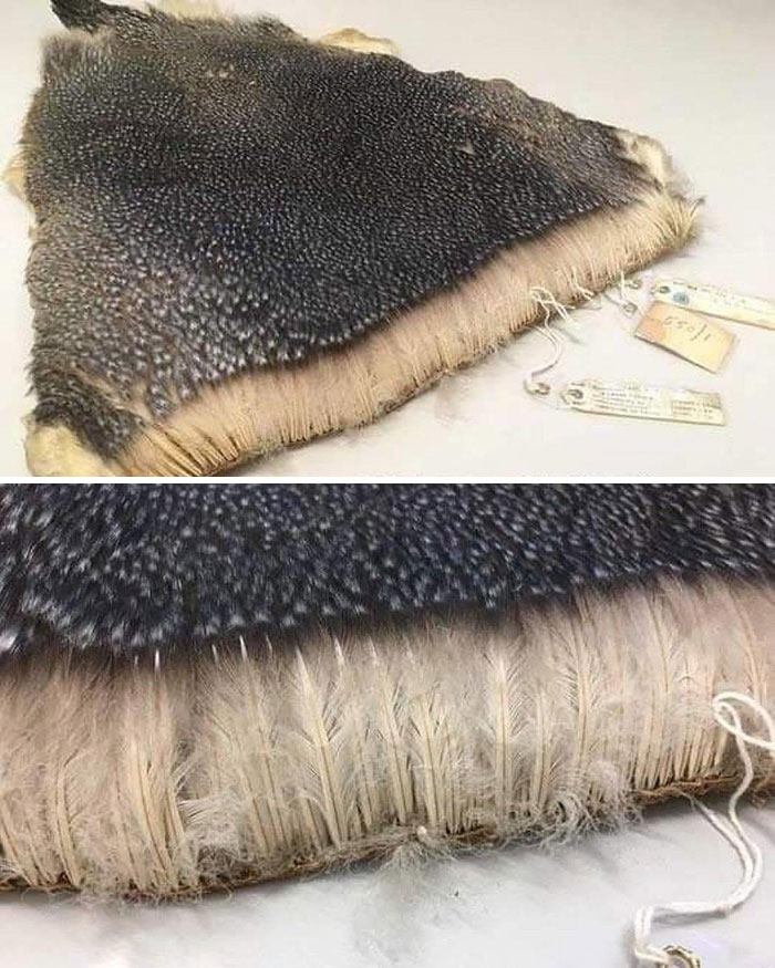 48个让人感到毛骨悚然的真实照片
