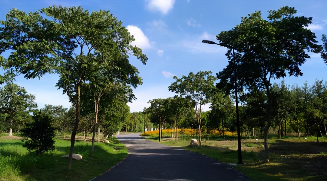 盘点嘉兴市区适合踏青的几个地方，周末风筝野餐，尽享悠闲时光