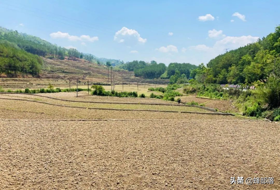 ​农村还没确权的土地怎么办？土地确权有4点作用，这些知识要知道