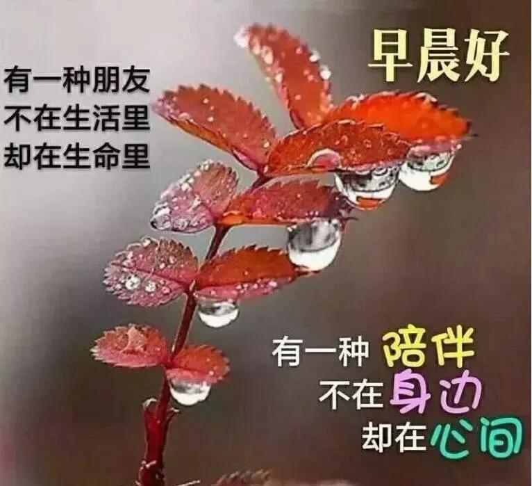 美女表情包：真正的绝望，是内心的迷茫