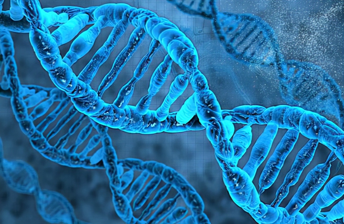 或与2500万年前基因突变有关,人类是变异生物