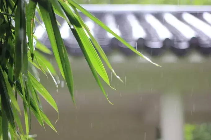 寻一处静谧，赶一场春雨