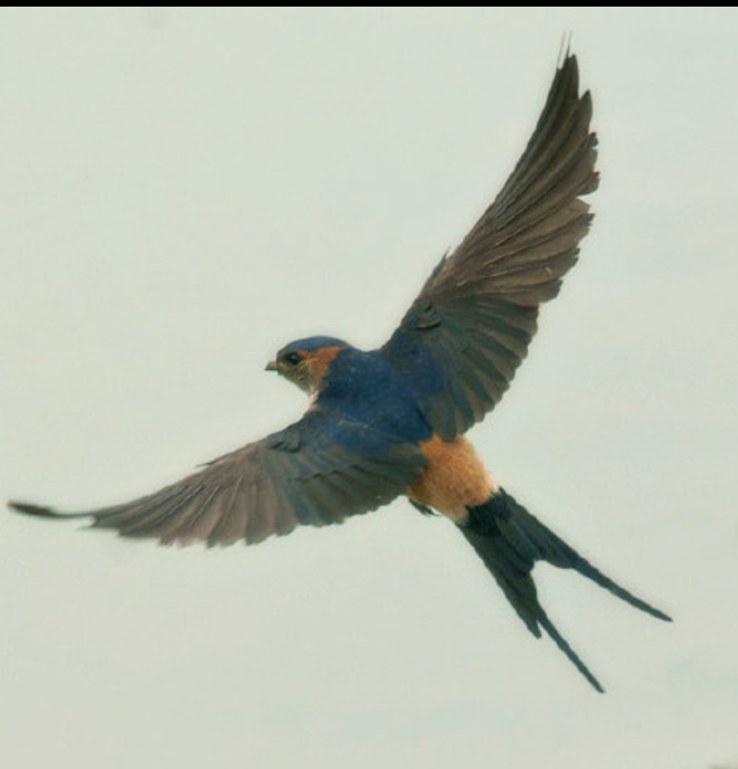 直播360高清直播(直播360高清直播法甲) - 直播好站