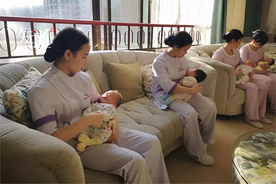 刘诗诗住的月子中心一天2600元,吴奇隆太抠门?