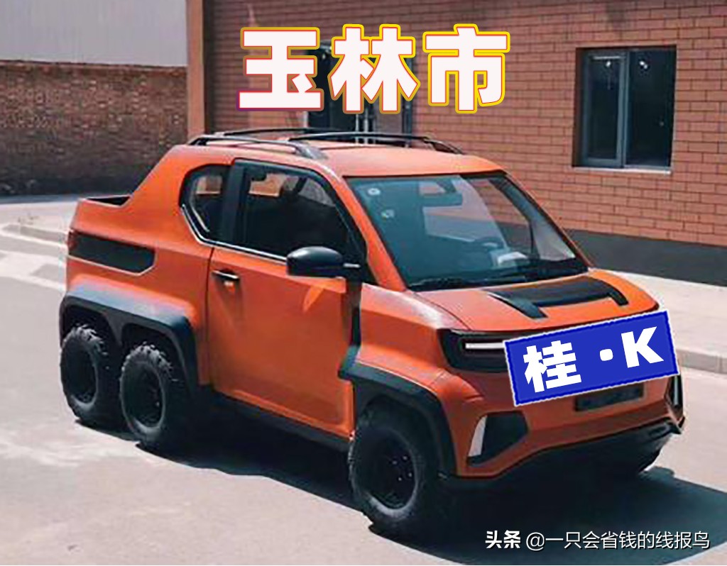 å¹¿è¥¿å£®æ—�è‡ªæ²»åŒºæ±½è½¦ç‰Œç…§å&shy;—æ¯�æ�’åº�