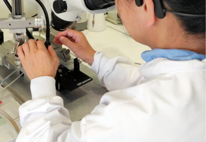 “研究村”里的牺牲品：这个国家不欢迎理科女