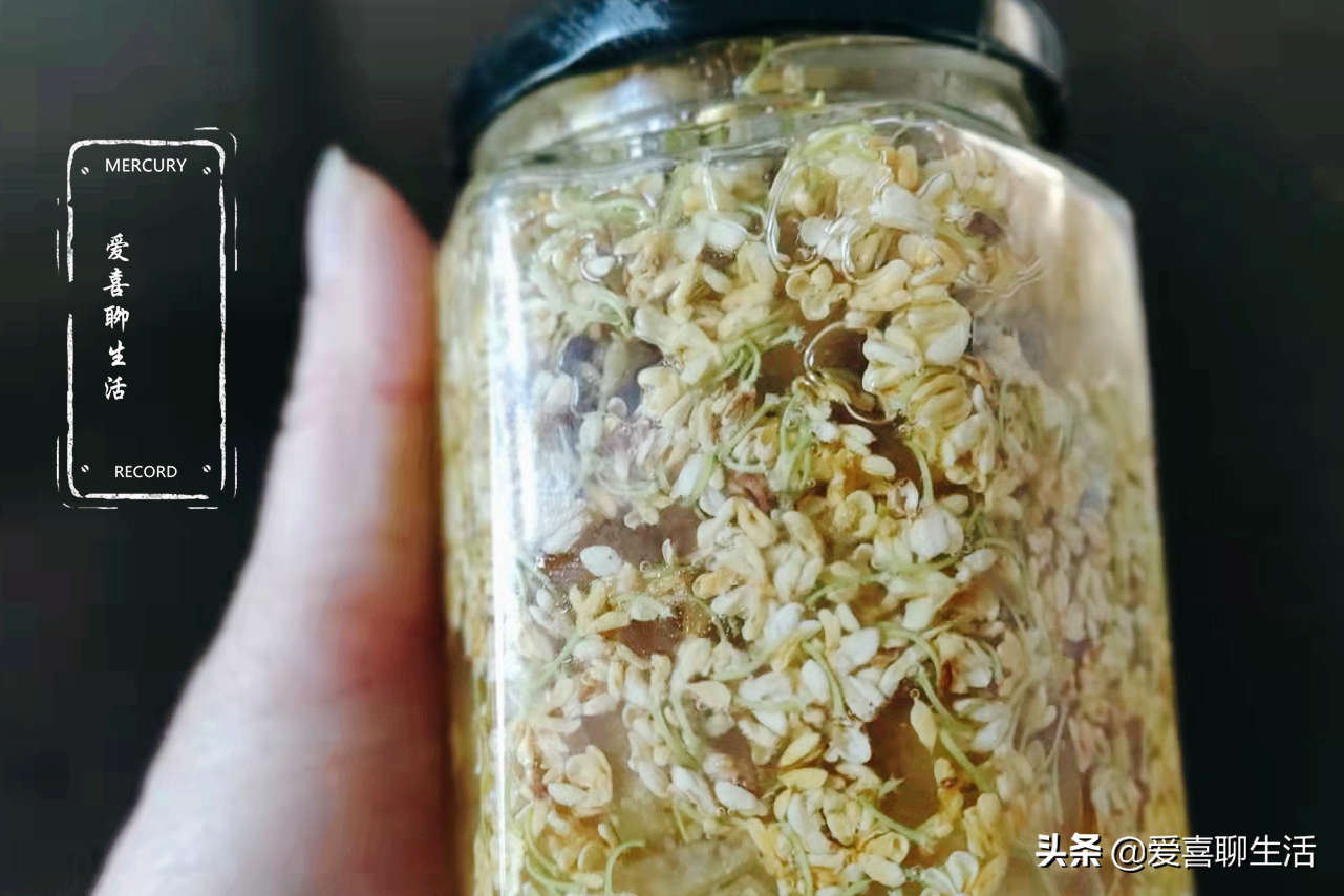 桂花蜜,桂花蜜 居無竹 dux
