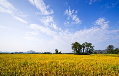 一周运势（4.27-5.4）：白羊座、金牛座、双子座在这里集合