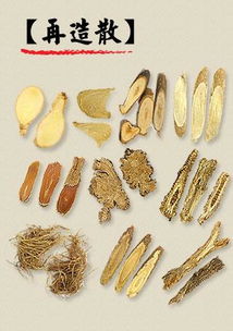 再造散:用于助阳益气,解表散寒;一文带你快速辨识中药 中医 杏仁