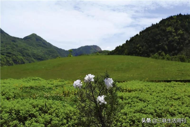 13年过去，北川中学的蜕变与涅槃