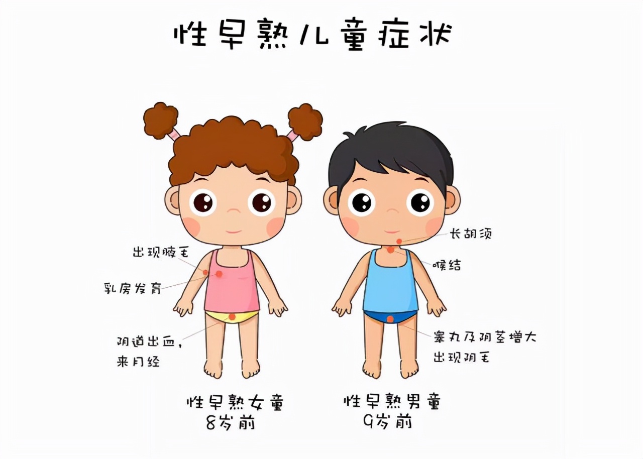 马儿的交配和繁殖，奇怪的知识又增加了