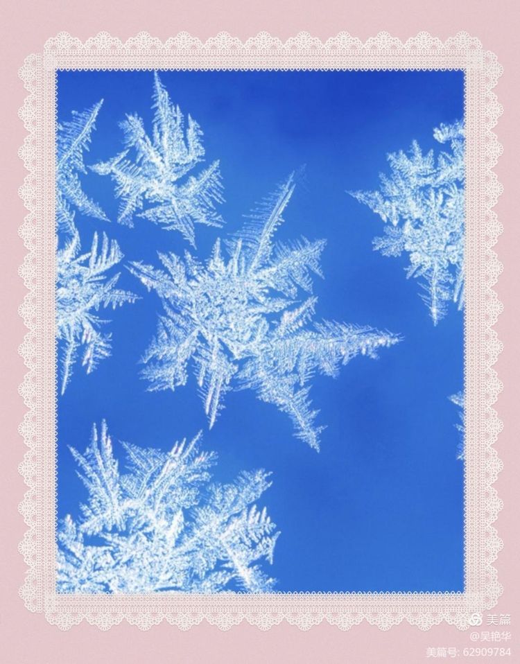 吴艳华：冰凌花