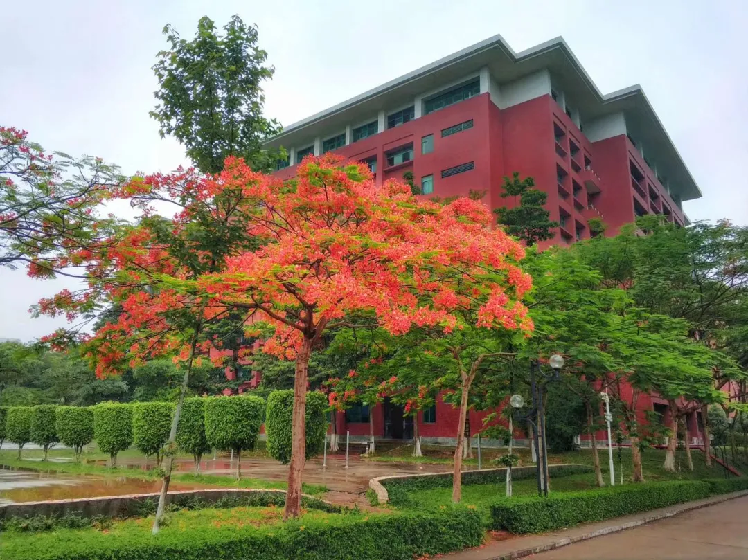 广州华立学院江西、福建、海南、辽宁、湖北、湖南省录取结果公布