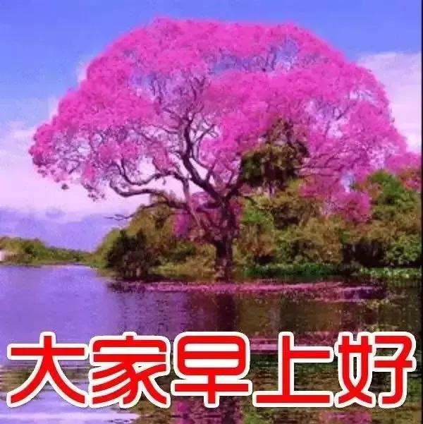 美女表情包：真正的绝望，是内心的迷茫