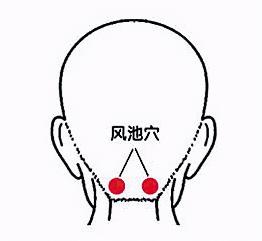 风池穴位位置图(补清气防外邪,选风池和肺俞二穴)