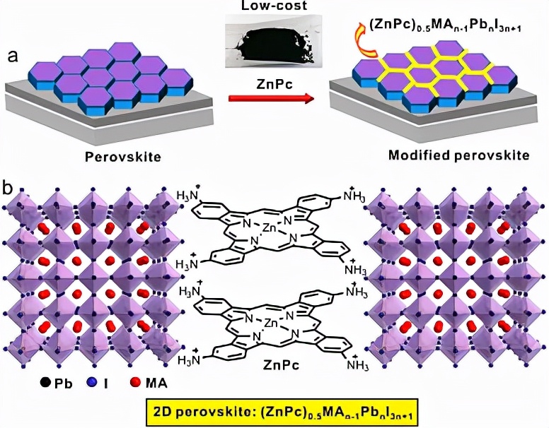 兰州大学唐瑜教授课题组近年来重要工作概览