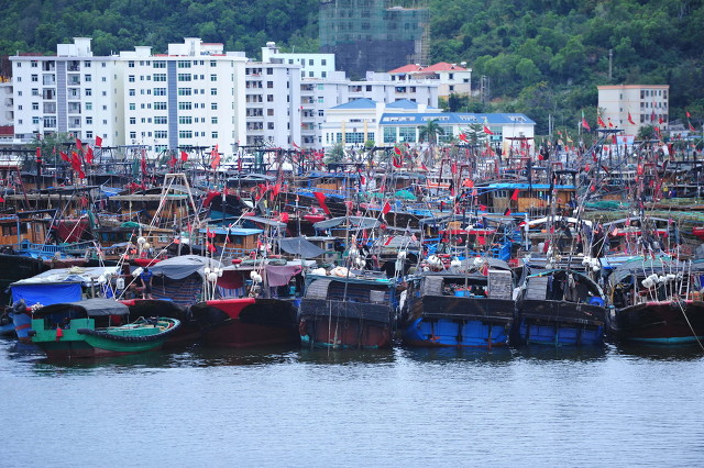 深圳十大免费少人知可以观海的公园