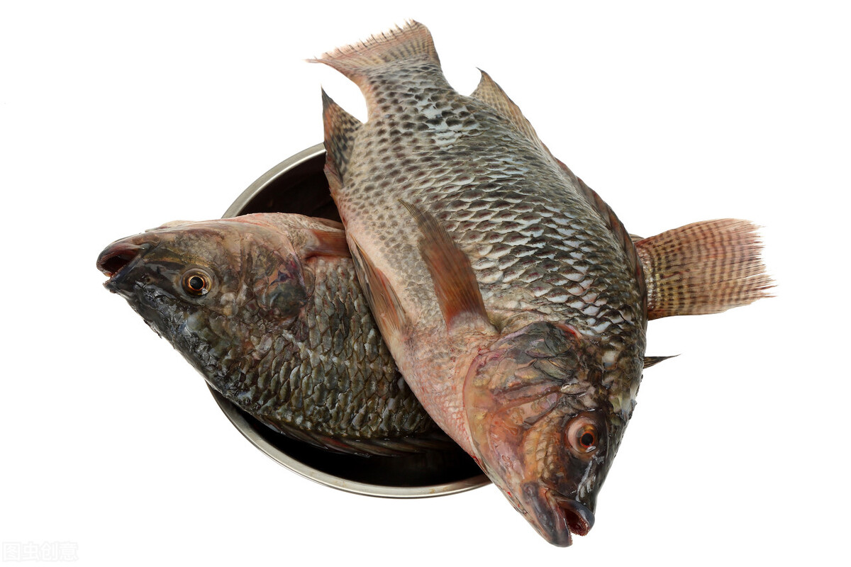 鱼价下跌潮：牛蛙降6.5元，鳜鱼跌15元，生鱼、鲈鱼狂跌，鱼农难