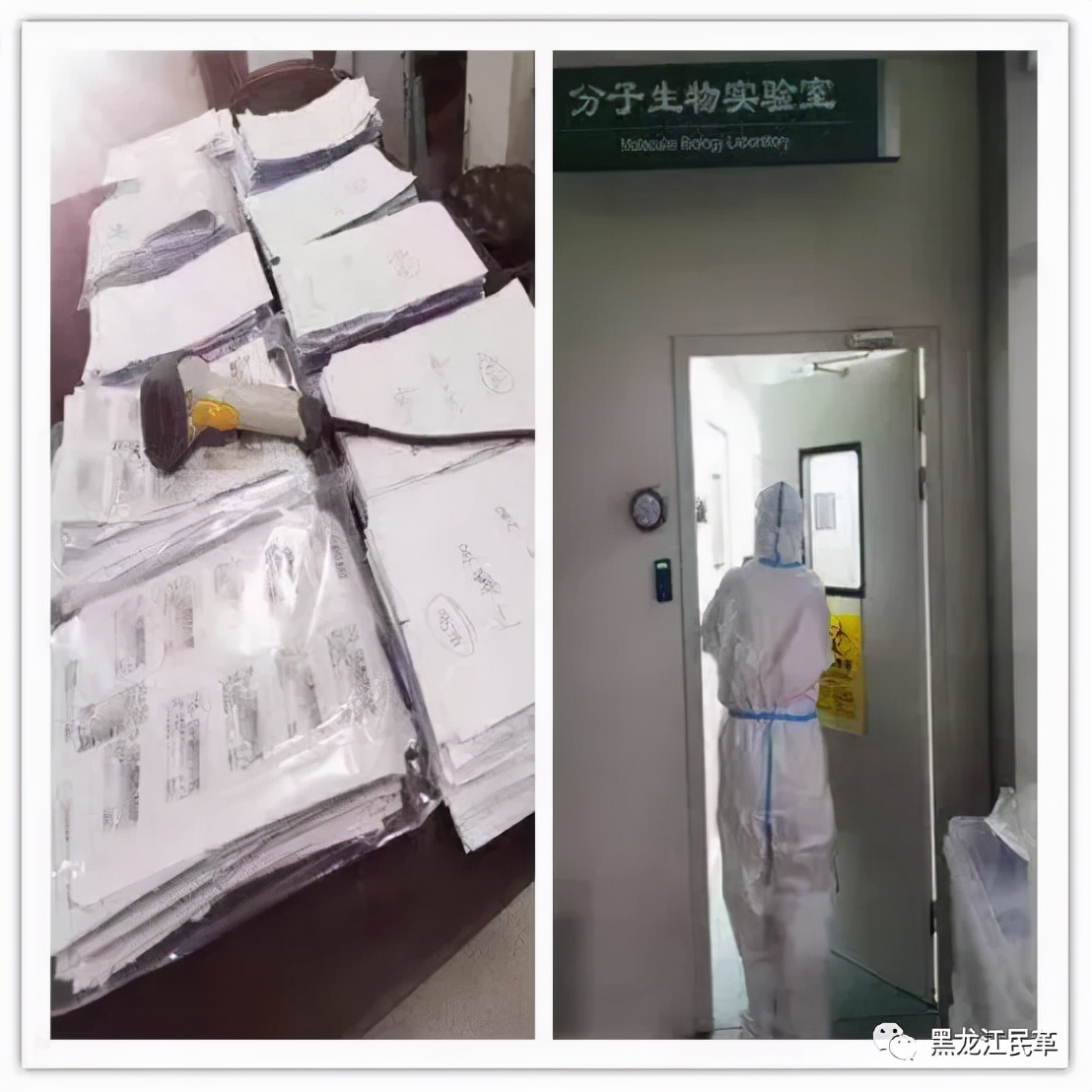 初心不变，使命在肩——民革省直中医药大学支部抗击疫情实录
