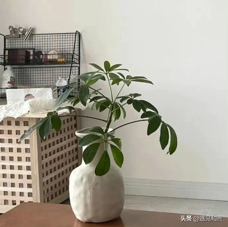 男人“变心”了，通常会收回这些东西